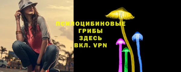 тгк Алзамай
