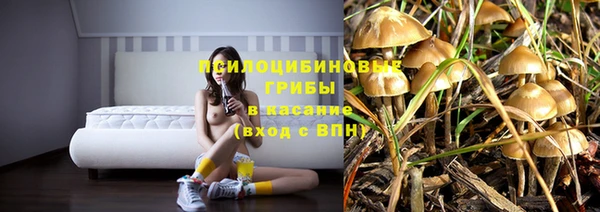 меф Алексеевка