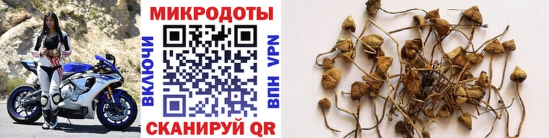 Псилоцибиновые грибы мухоморы  купить наркоту  Ивдель 